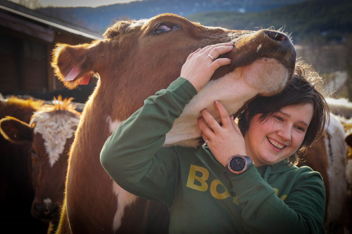 Roxana - fermier roman in Norvegia - scurt interviu si articol despre ...